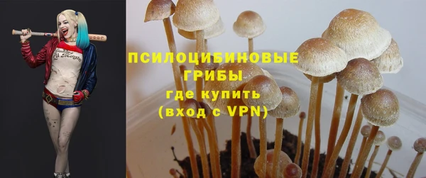 эйфоретик Алексин