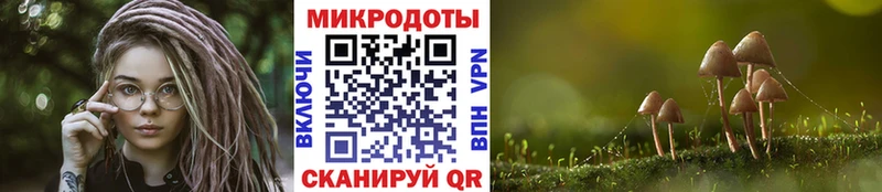 Псилоцибиновые грибы Magic Shrooms  блэк спрут вход  Болохово  наркотики 
